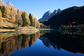 lai da palpuogna
