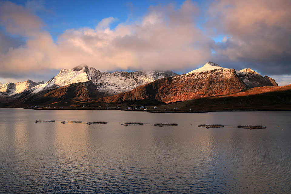 Lofoten