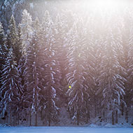 Januar